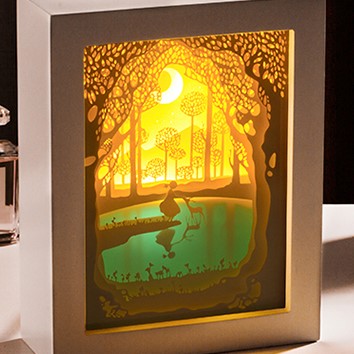 Shadow Box